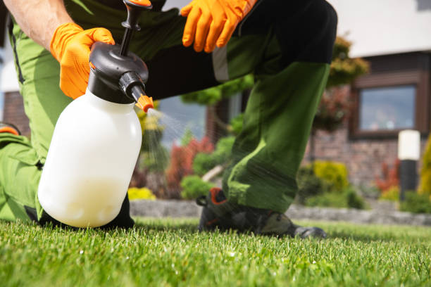 Best Commercial Pest Control Services  in Rio Bravo, TX