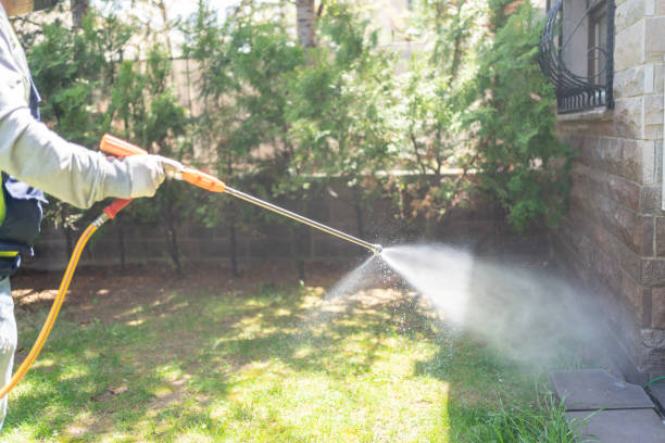 Flea Control Services in Rio Bravo, TX